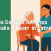 An tseirbhís cúram baile is fearr in Éirinn bikrisohoj